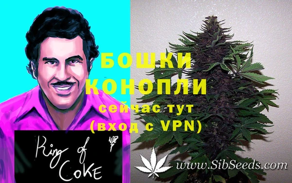 мяу мяу мука Нягань