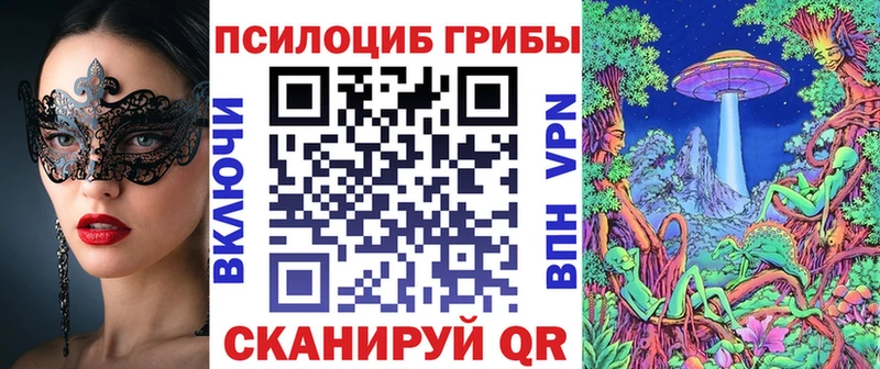 площадка формула  Тольятти  Галлюциногенные грибы мицелий 